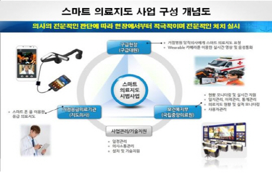 스마트 의료지도 사업 구성 개념도(자료 : 복지부)